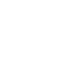 Business icon